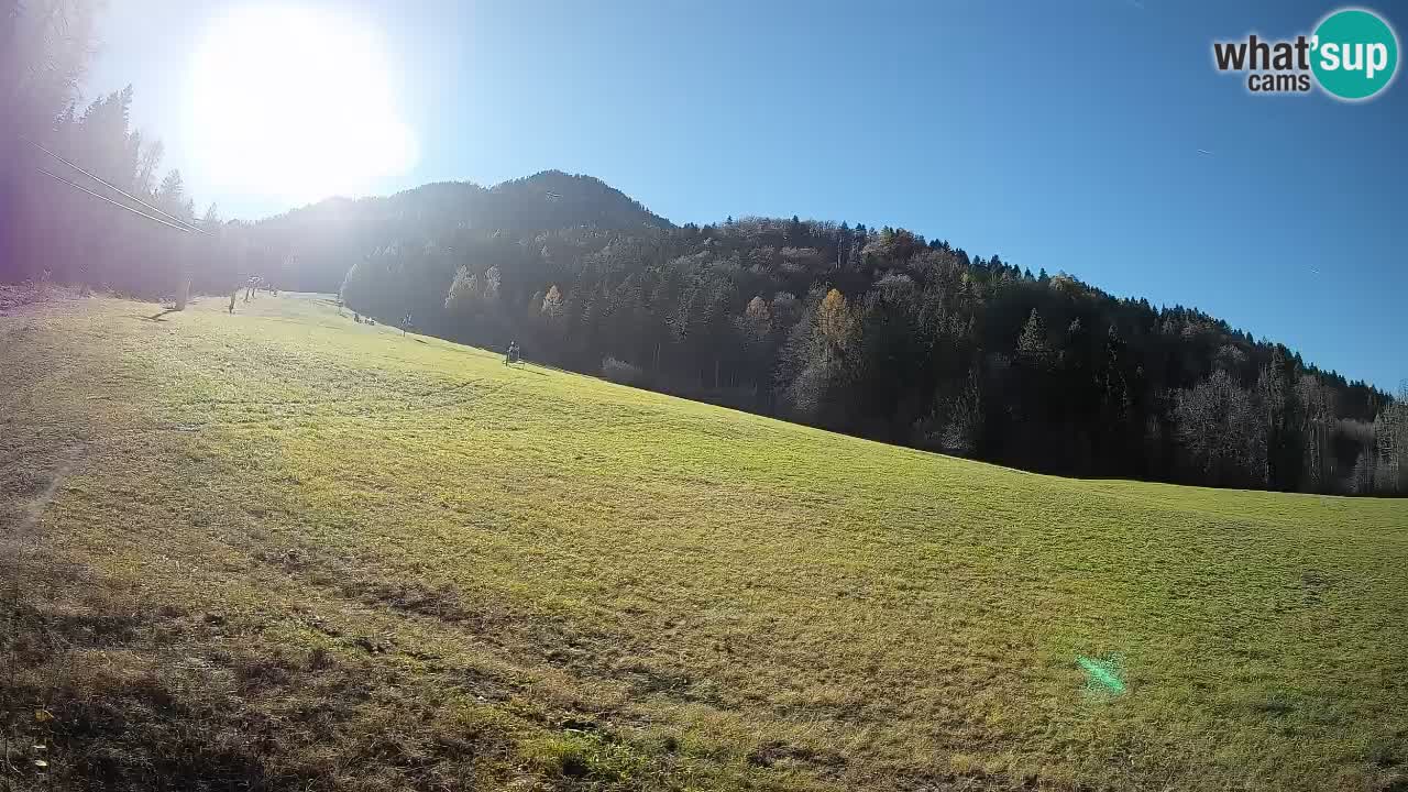 Ski Kranjska Gora | Brsnina