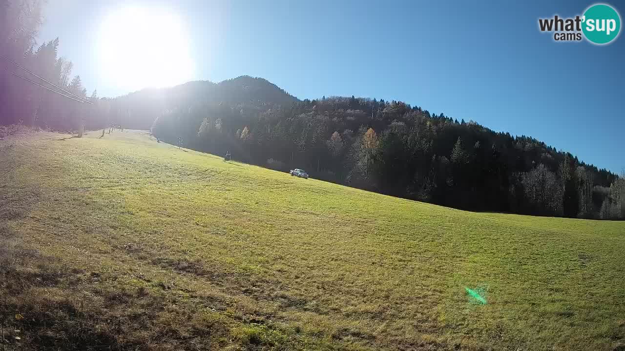 Ski Kranjska Gora | Brsnina