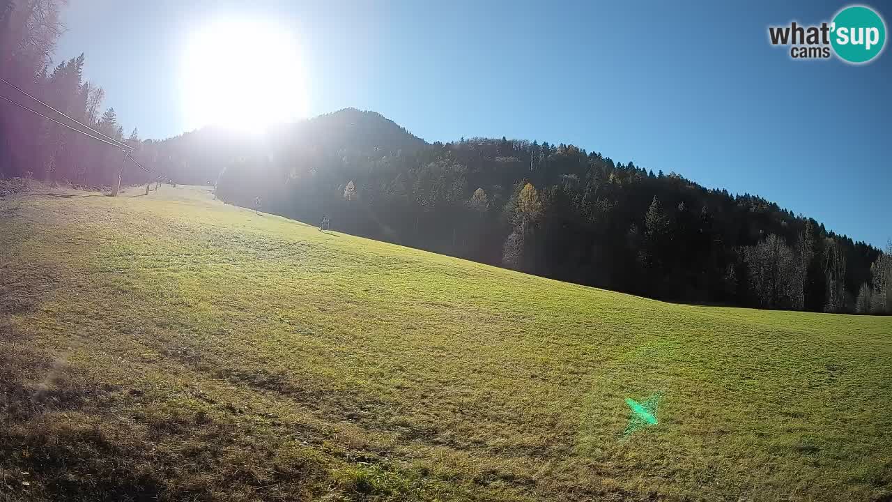 RTC Kranjska Gora | Brsnina