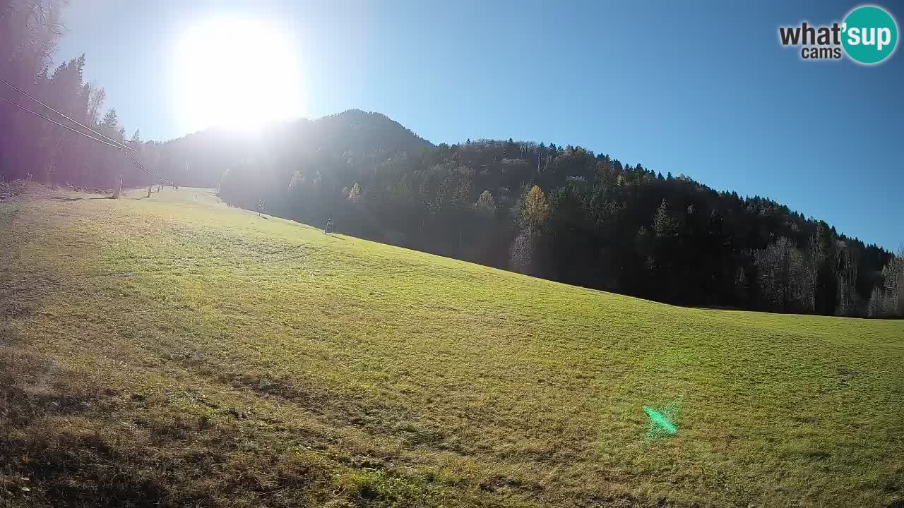 RTC Skigebiet Kranjska Gora | Brsnina