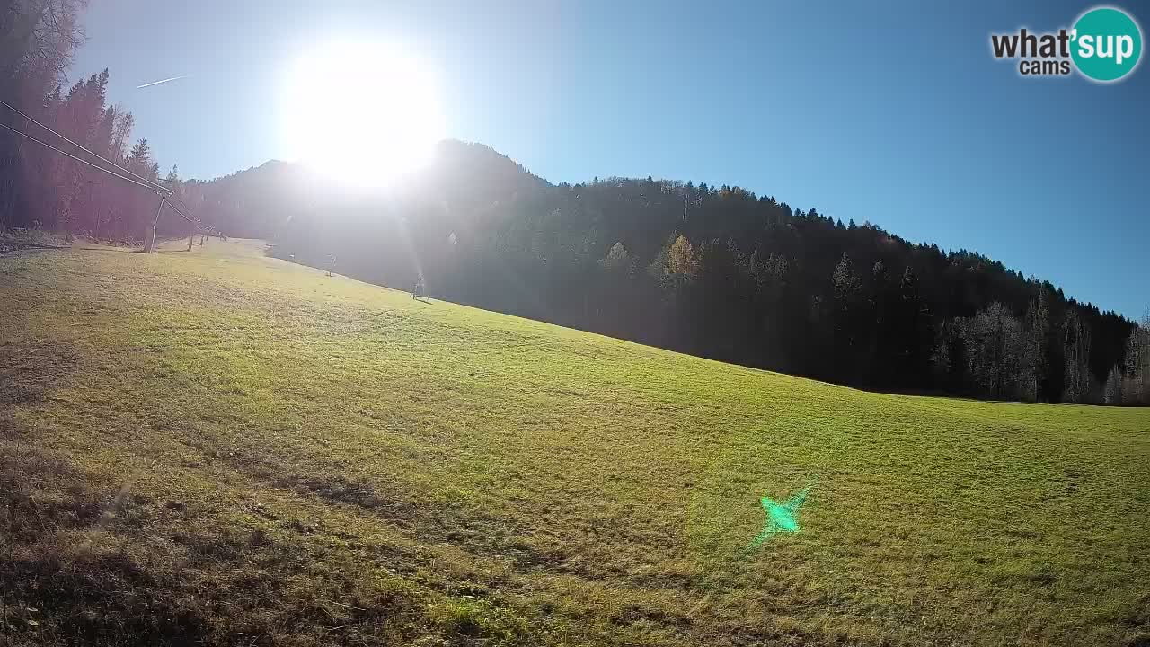 RTC Kranjska Gora | Brsnina