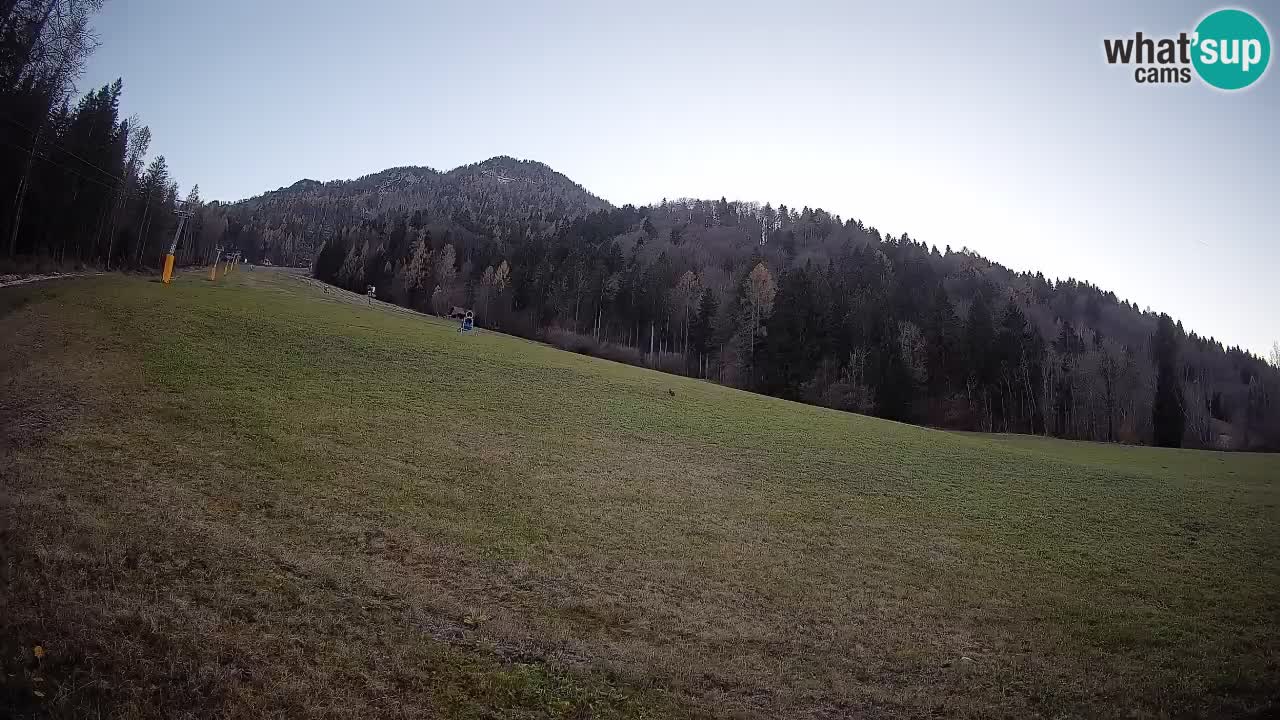 RTC Kranjska Gora | Brsnina