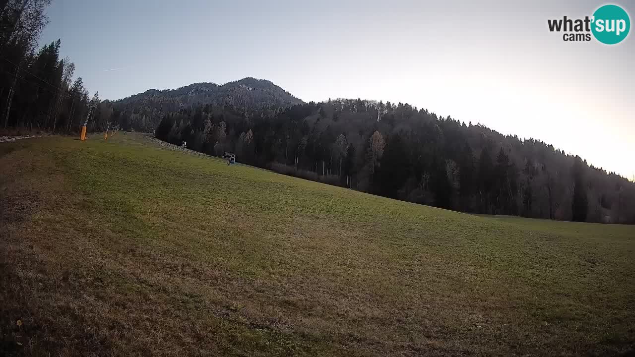 Esquí Kranjska Gora | Brsnina