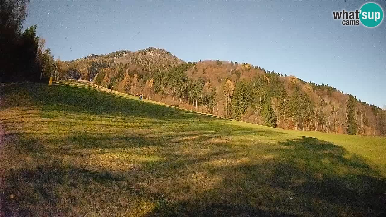 RTC Kranjska Gora | Brsnina