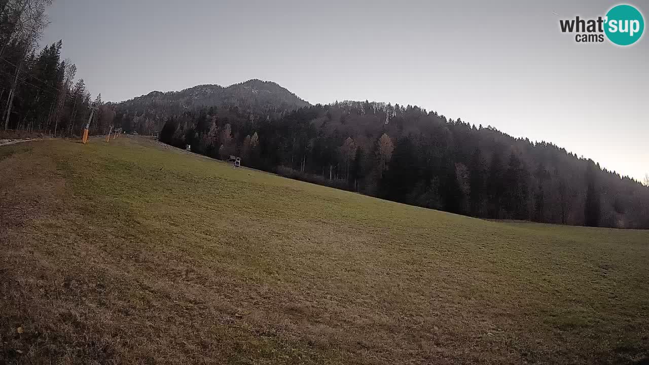 RTC Kranjska Gora | Brsnina