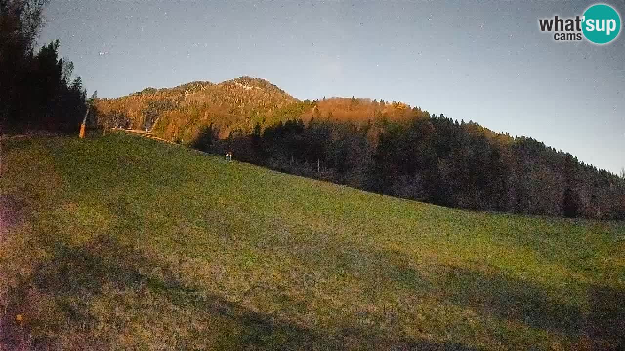 RTC Kranjska Gora | Brsnina
