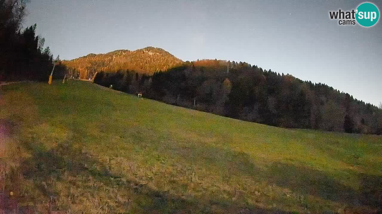 RTC Skigebiet Kranjska Gora | Brsnina