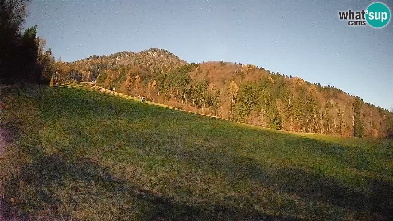 RTC Skigebiet Kranjska Gora | Brsnina