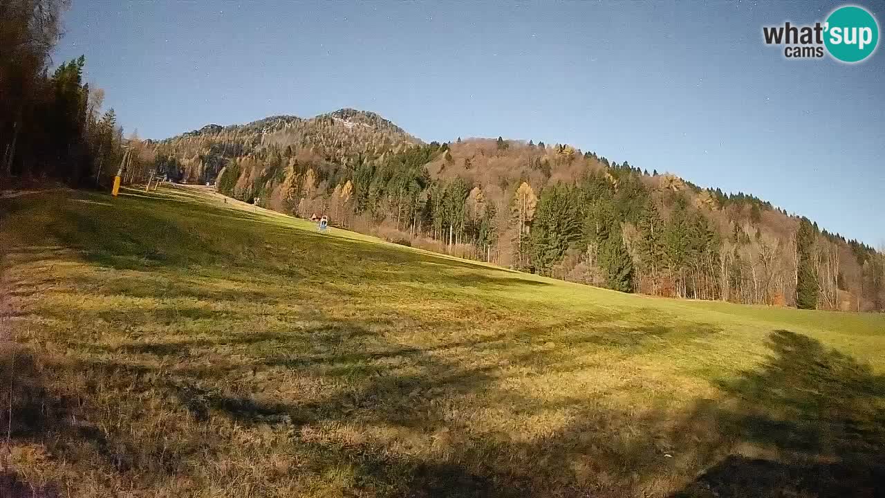 Esquí Kranjska Gora | Brsnina