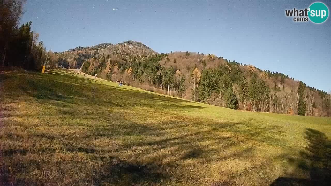 RTC Skigebiet Kranjska Gora | Brsnina