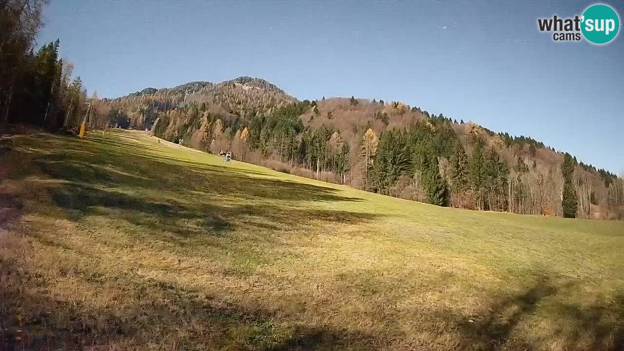 Kranjska Gora Station de ski | Brsnina