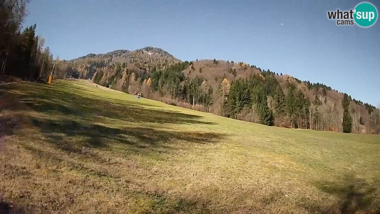 Esquí Kranjska Gora | Brsnina