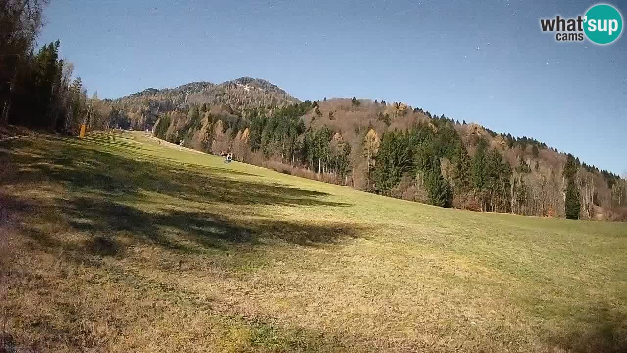 Kranjska Gora Station de ski | Brsnina