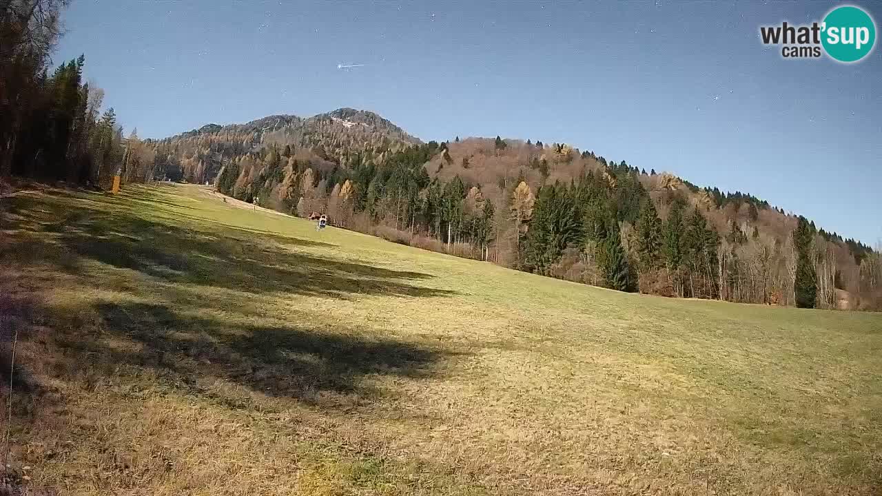 Ski Kranjska Gora | Brsnina