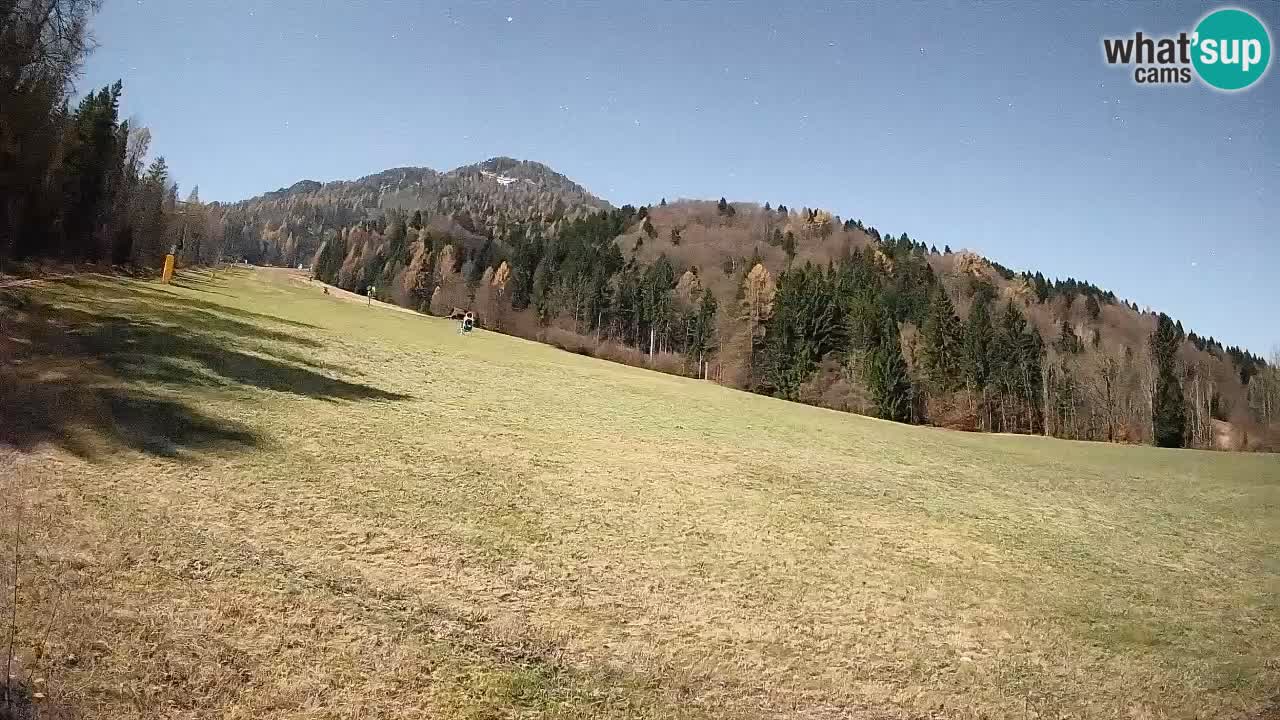 RTC Skigebiet Kranjska Gora | Brsnina