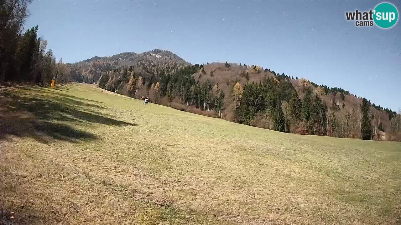 Kranjska Gora Station de ski | Brsnina