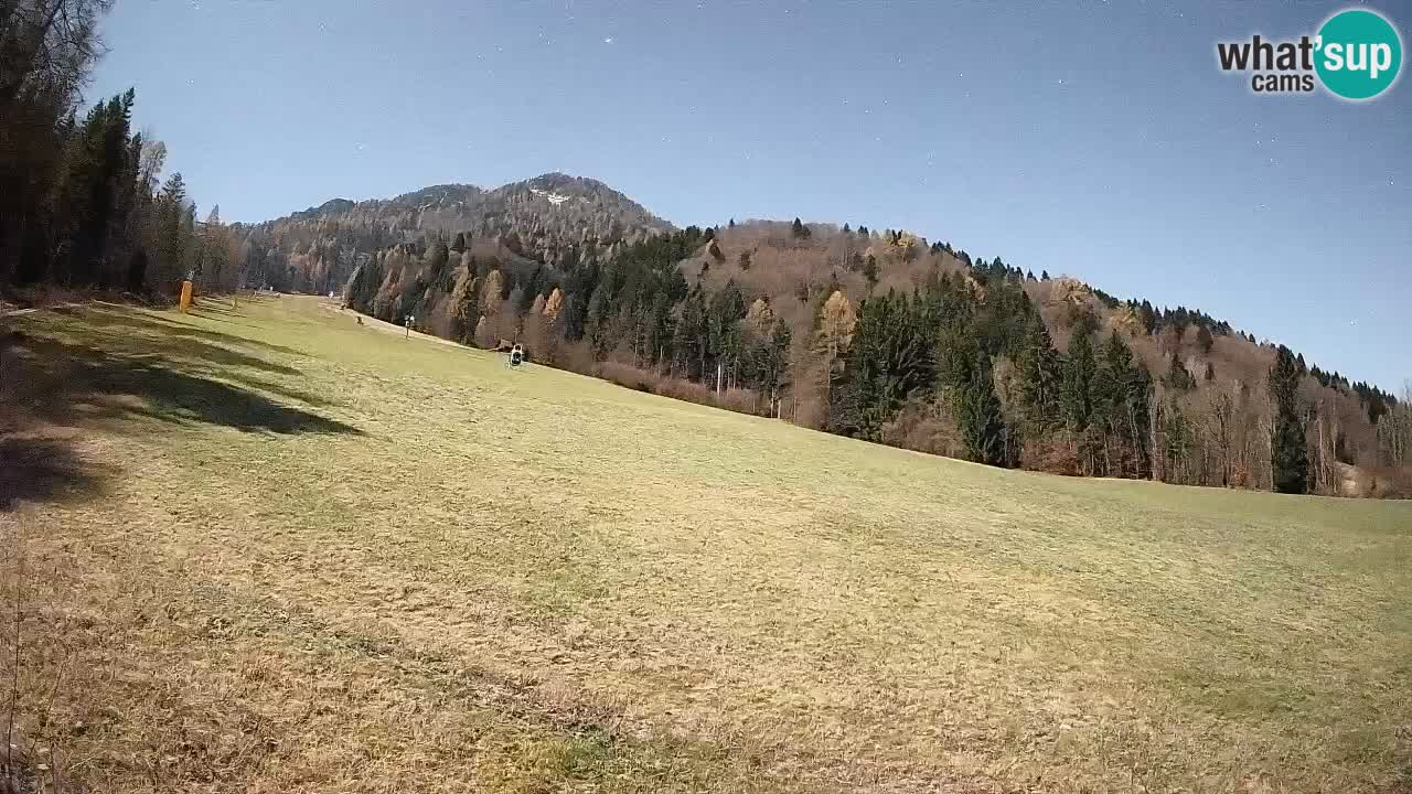 RTC Skigebiet Kranjska Gora | Brsnina