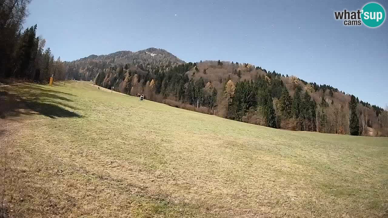 Esquí Kranjska Gora | Brsnina