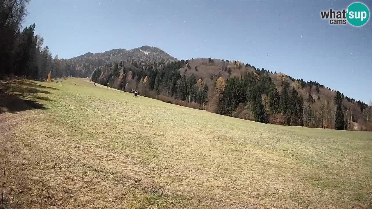 Esquí Kranjska Gora | Brsnina
