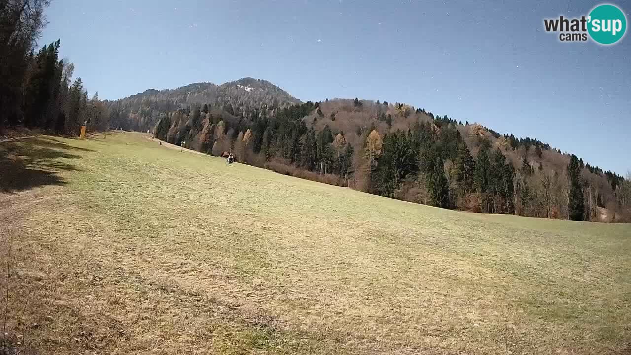 Ski Kranjska Gora | Brsnina