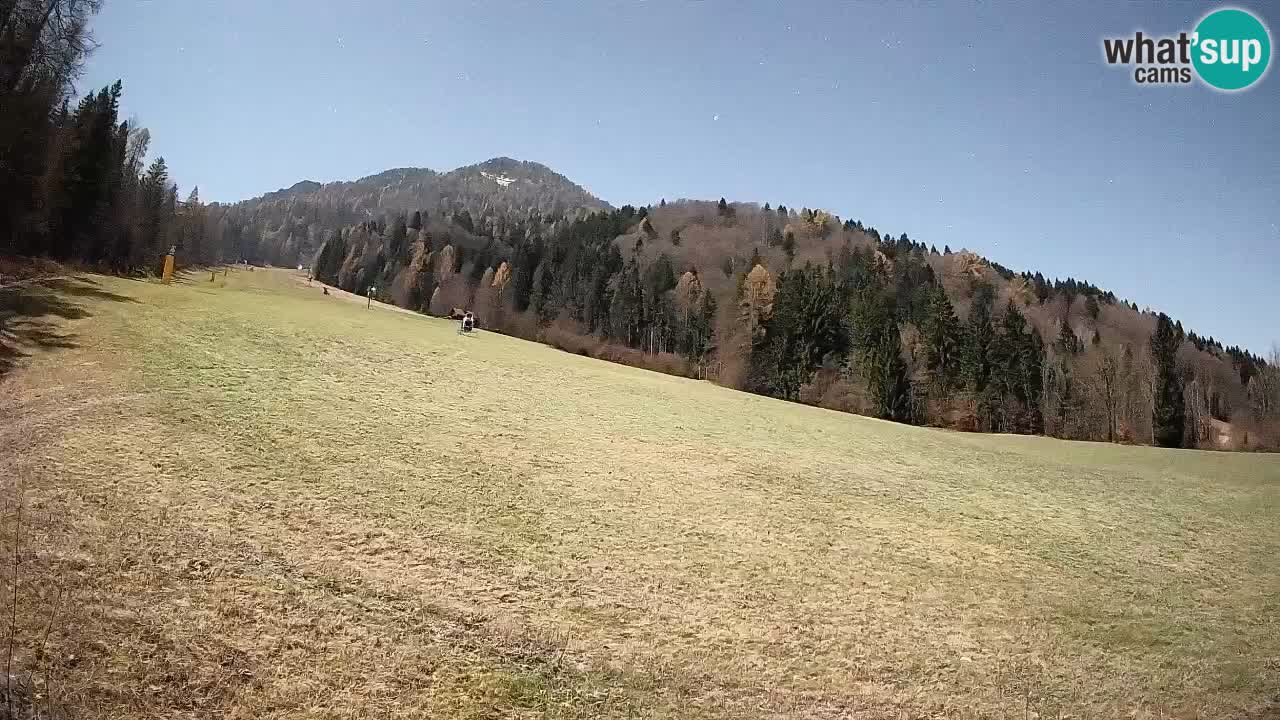 Esquí Kranjska Gora | Brsnina