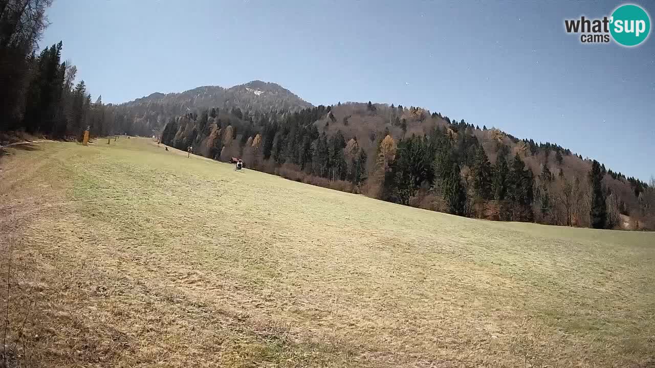 Kranjska Gora SKIJANJE | Brsnina