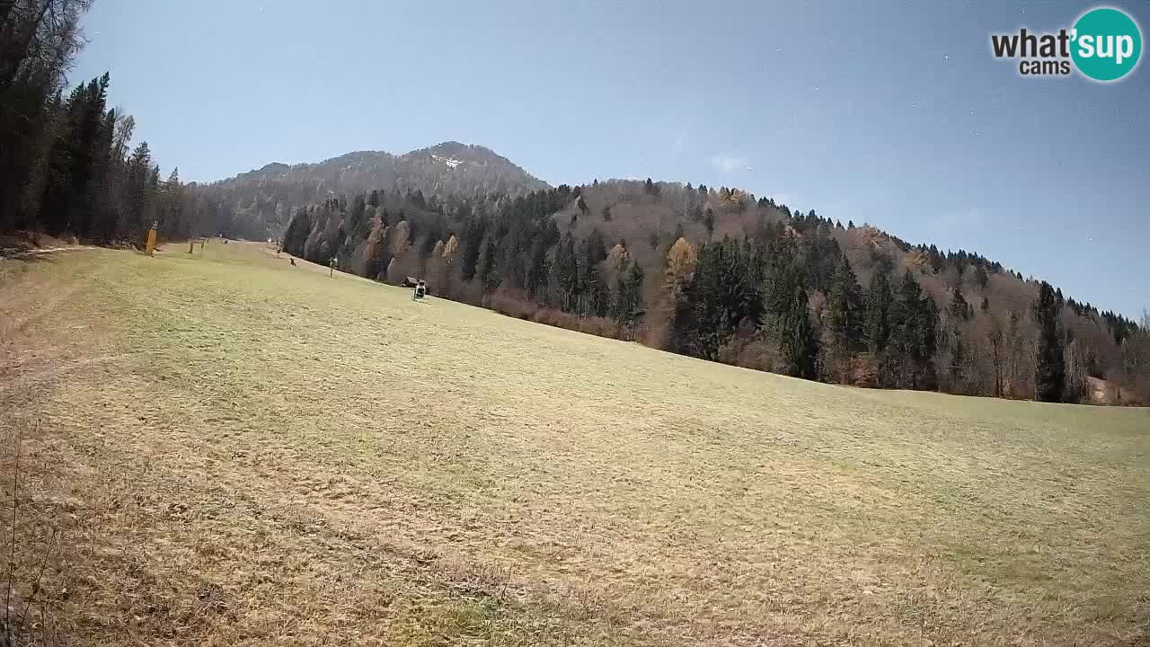 RTC Kranjska Gora | Brsnina