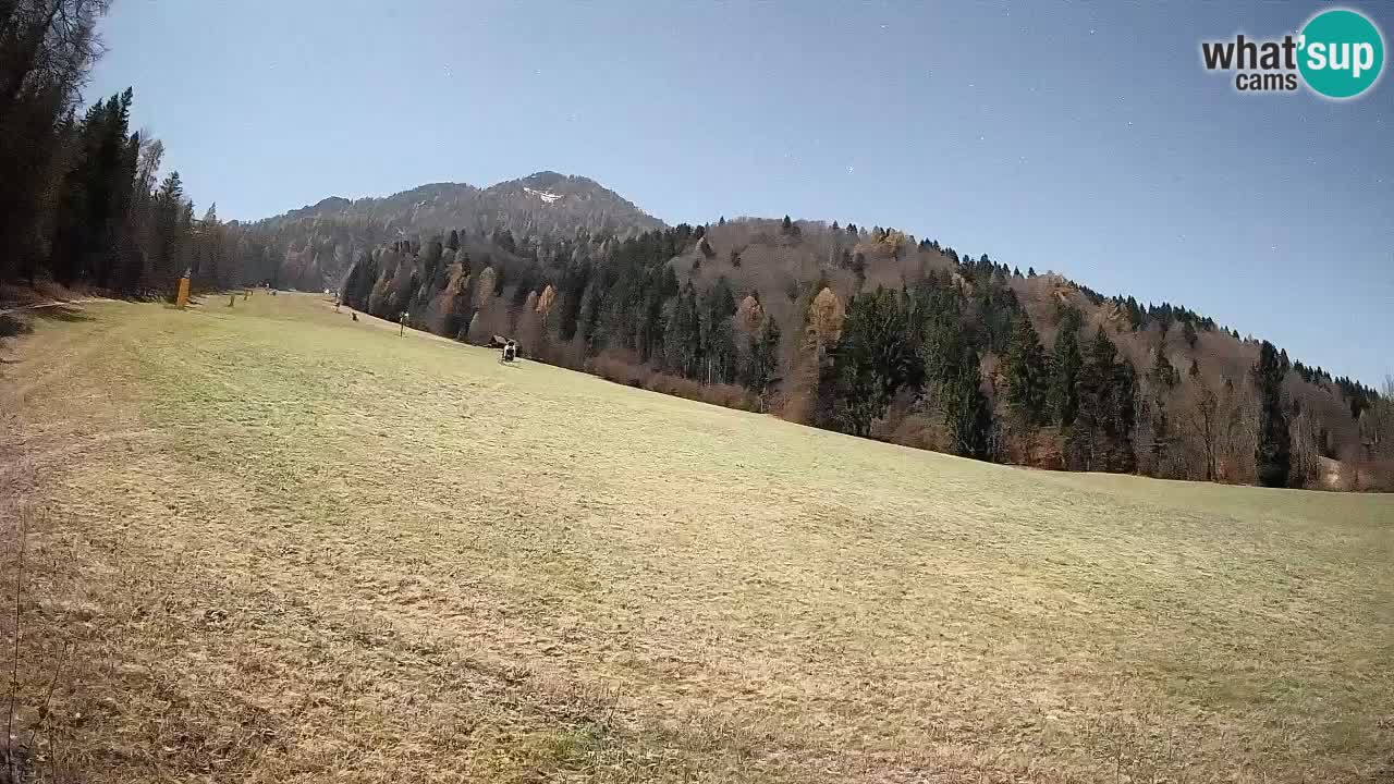 RTC Skigebiet Kranjska Gora | Brsnina