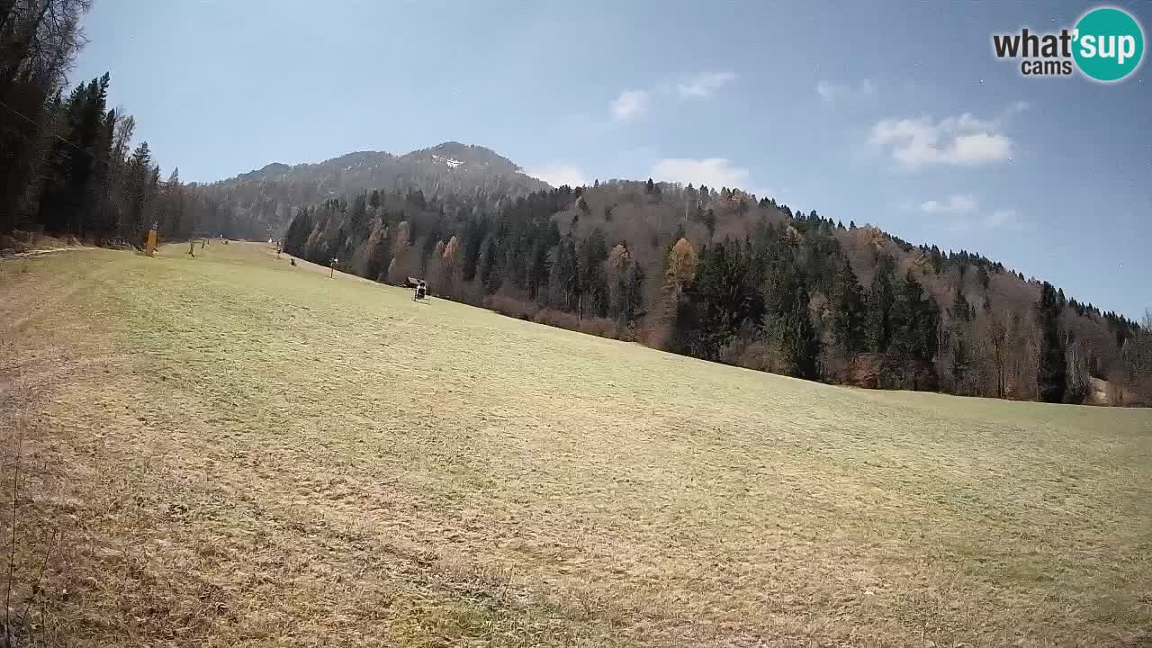 Kranjska Gora Station de ski | Brsnina