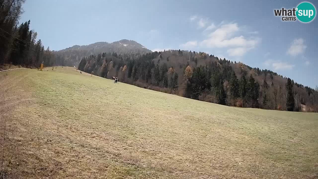 RTC Skigebiet Kranjska Gora | Brsnina