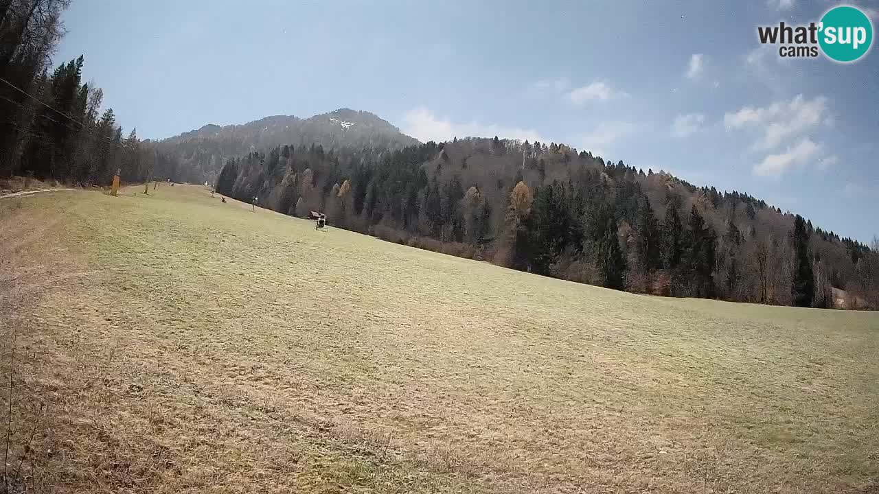 Kranjska Gora SKIJANJE | Brsnina