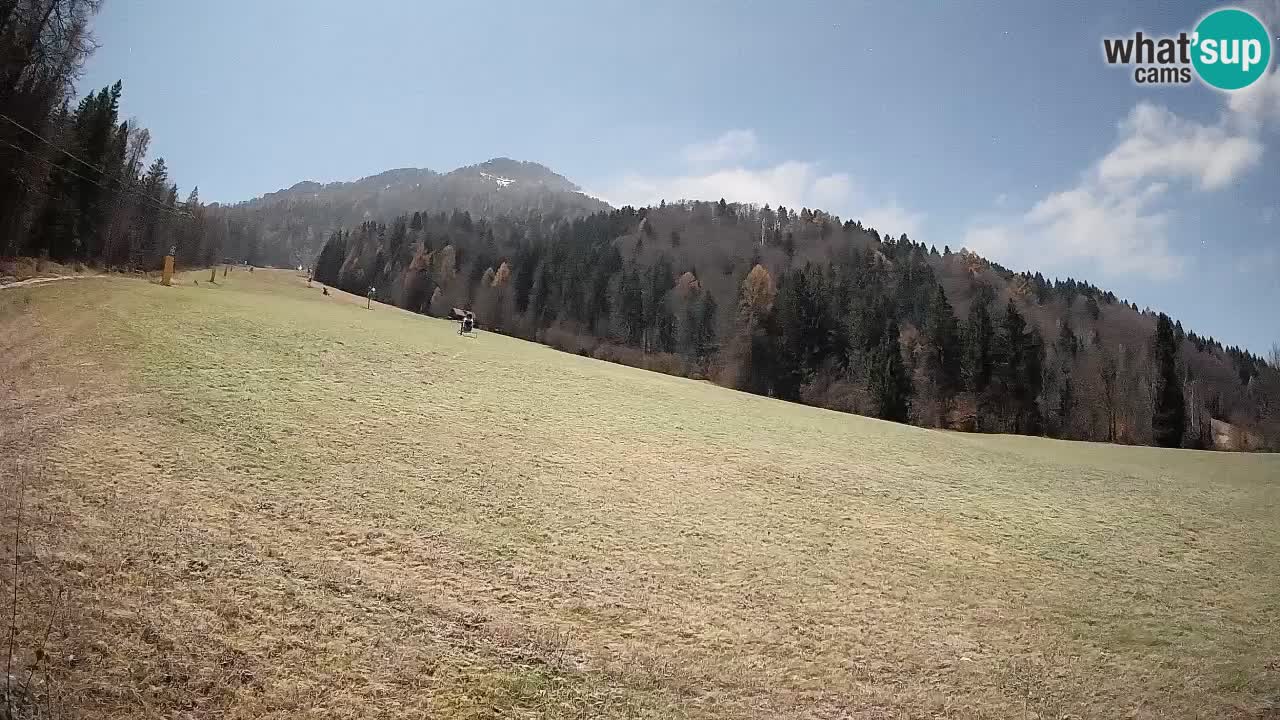 Esquí Kranjska Gora | Brsnina