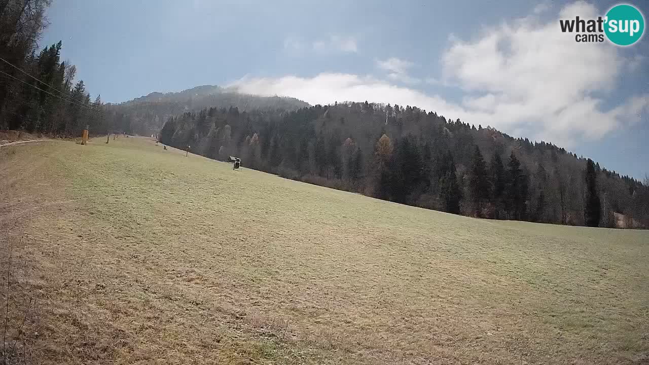 Kranjska Gora Station de ski | Brsnina