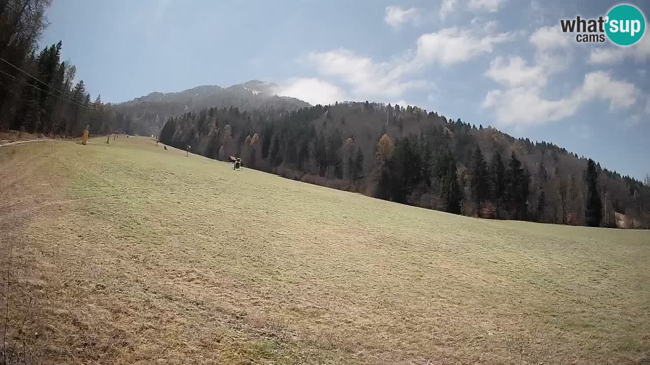 Kranjska Gora Station de ski | Brsnina