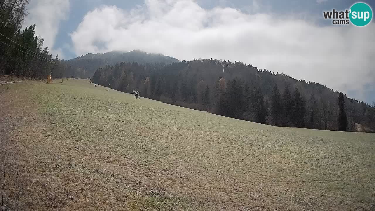 RTC Skigebiet Kranjska Gora | Brsnina