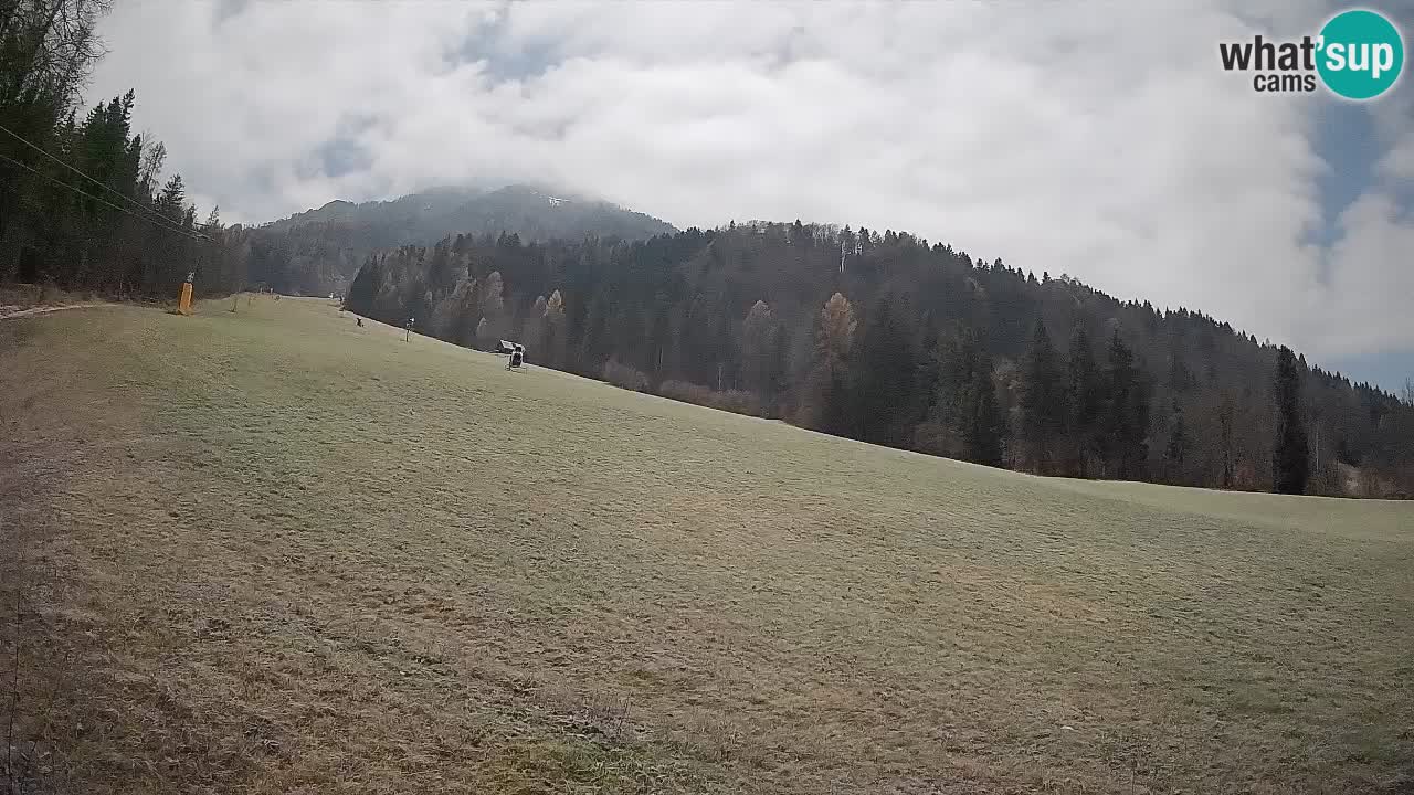 Ski Kranjska Gora | Brsnina
