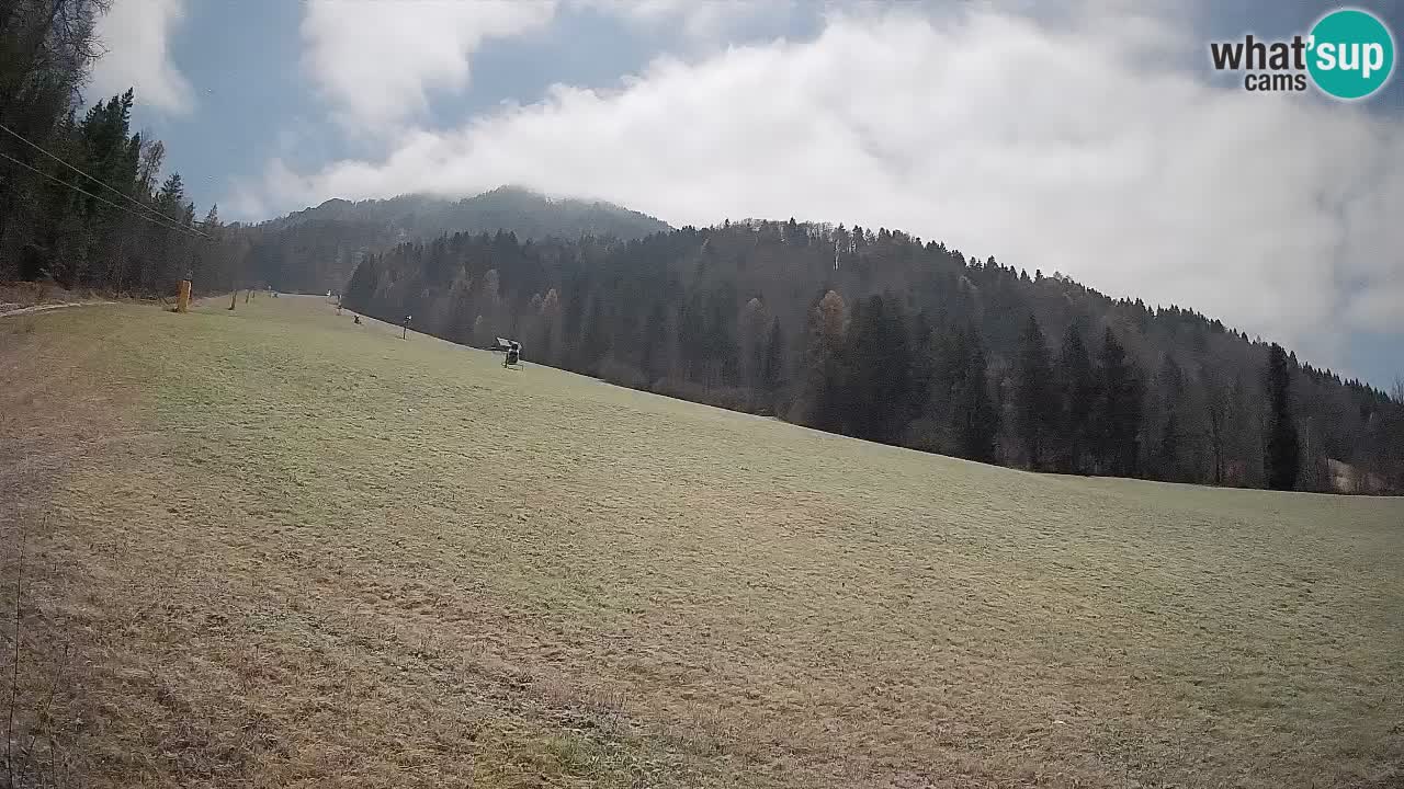 Kranjska Gora Station de ski | Brsnina