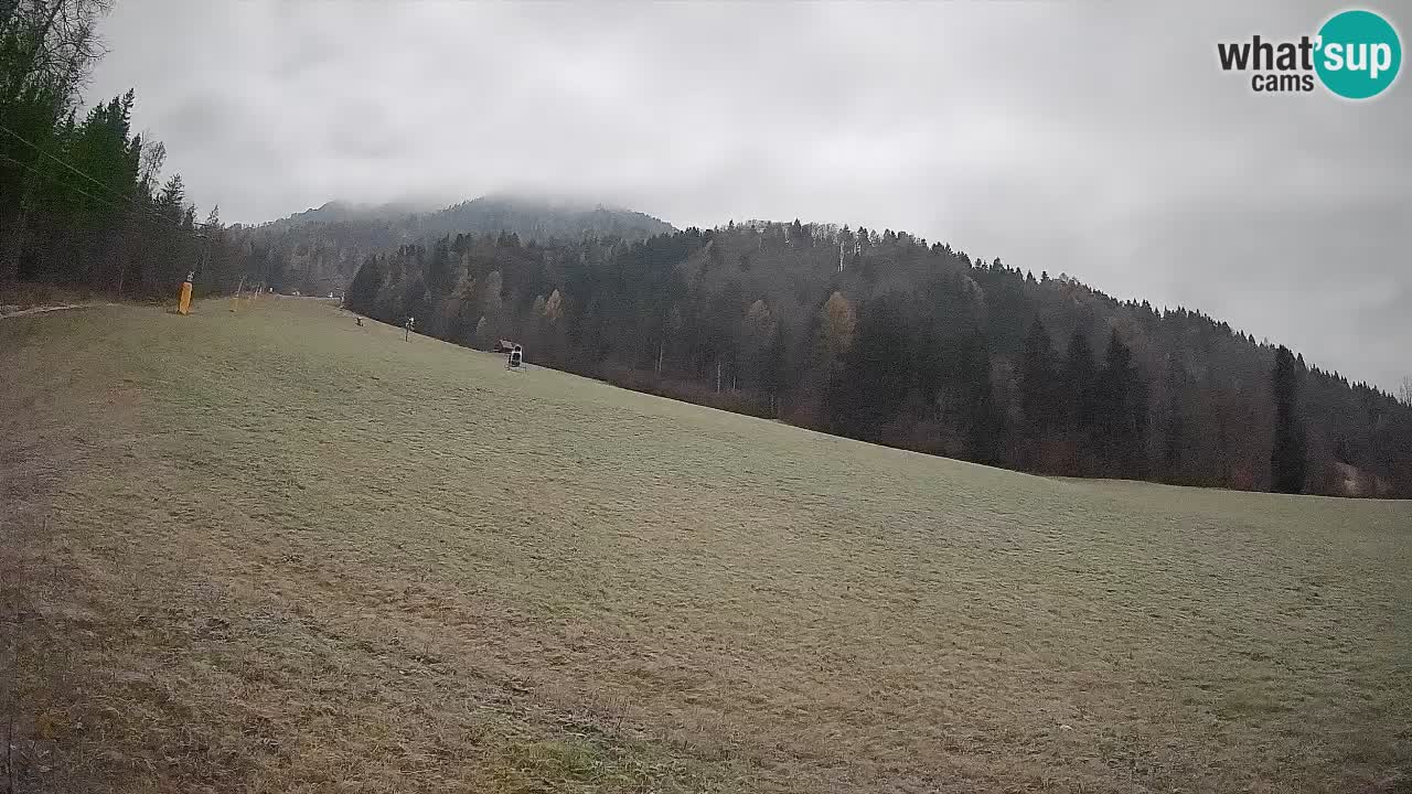 RTC Kranjska Gora | Brsnina