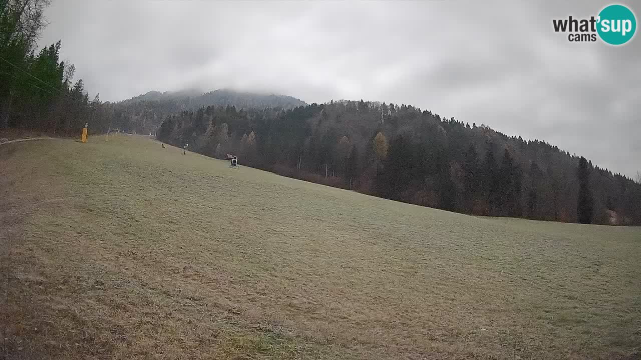 Comprensorio sciistico Kranjska Gora | Brsnina