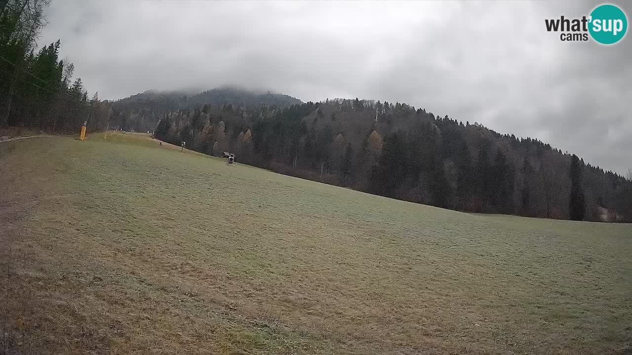 RTC Skigebiet Kranjska Gora | Brsnina