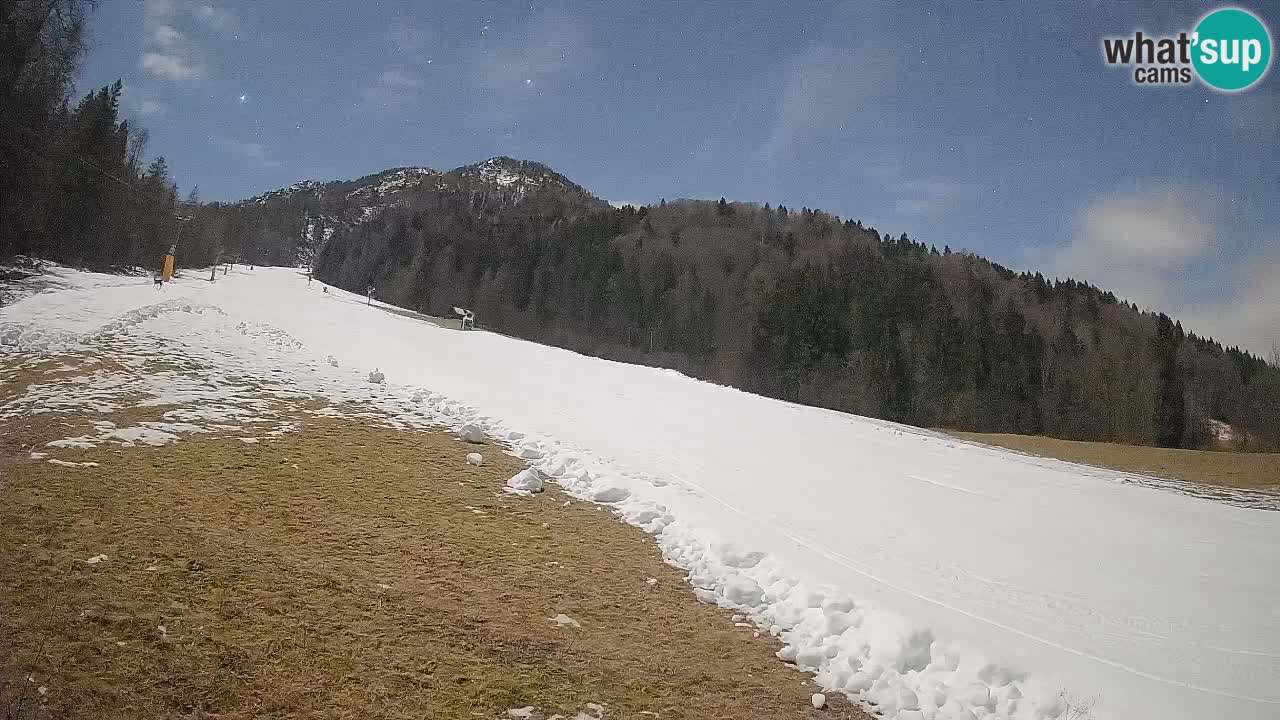 Esquí Kranjska Gora | Brsnina