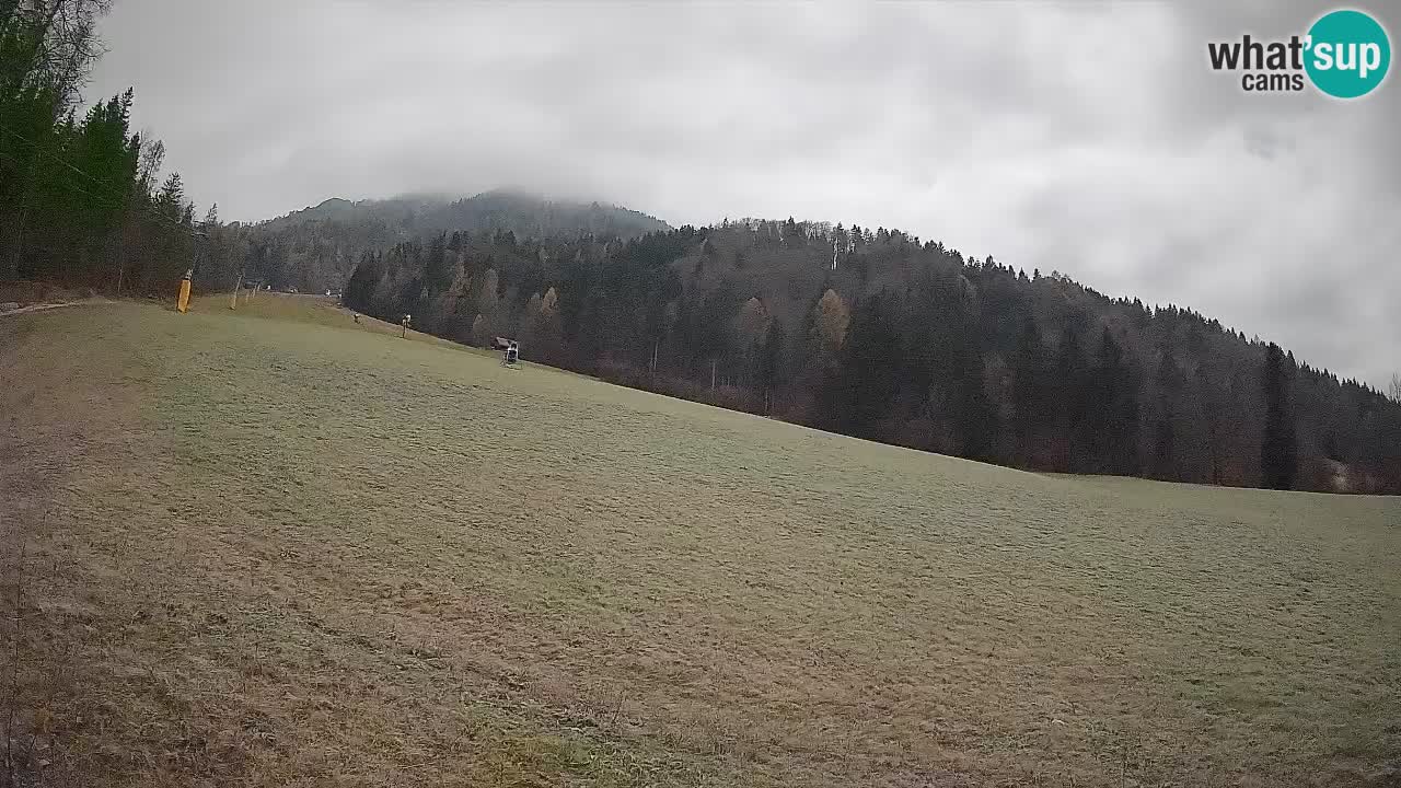 RTC Skigebiet Kranjska Gora | Brsnina