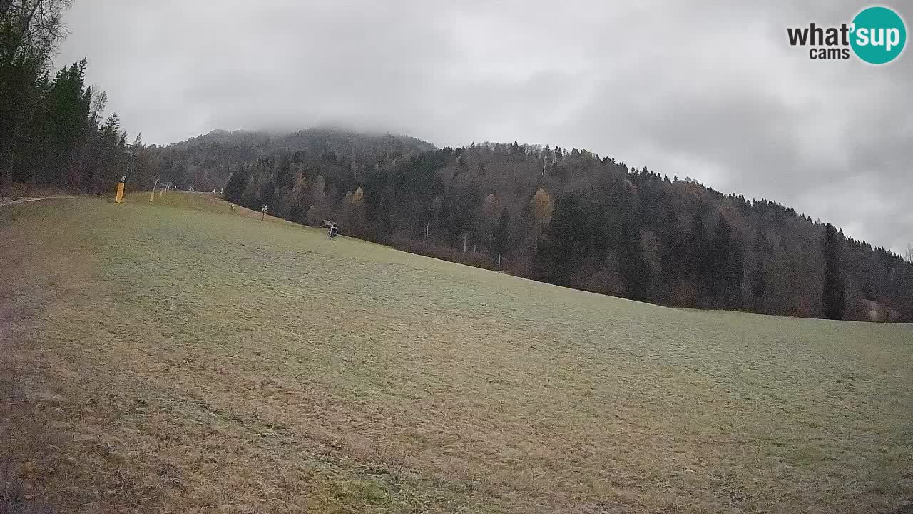 Kranjska Gora SKIJANJE | Brsnina