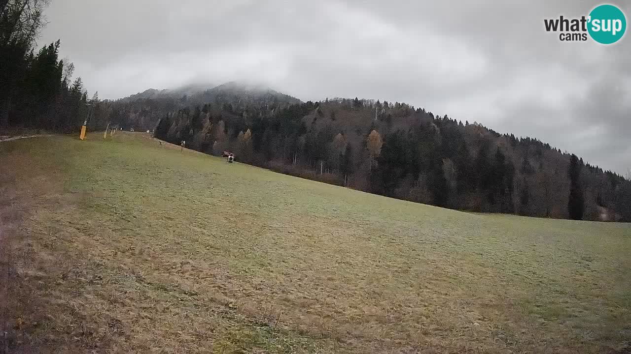 Kranjska Gora SKIJANJE | Brsnina