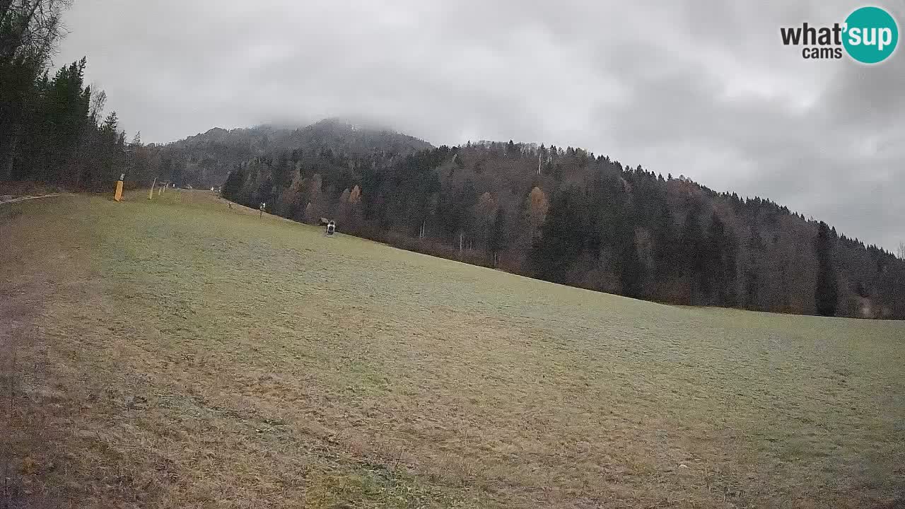 Kranjska Gora Station de ski | Brsnina