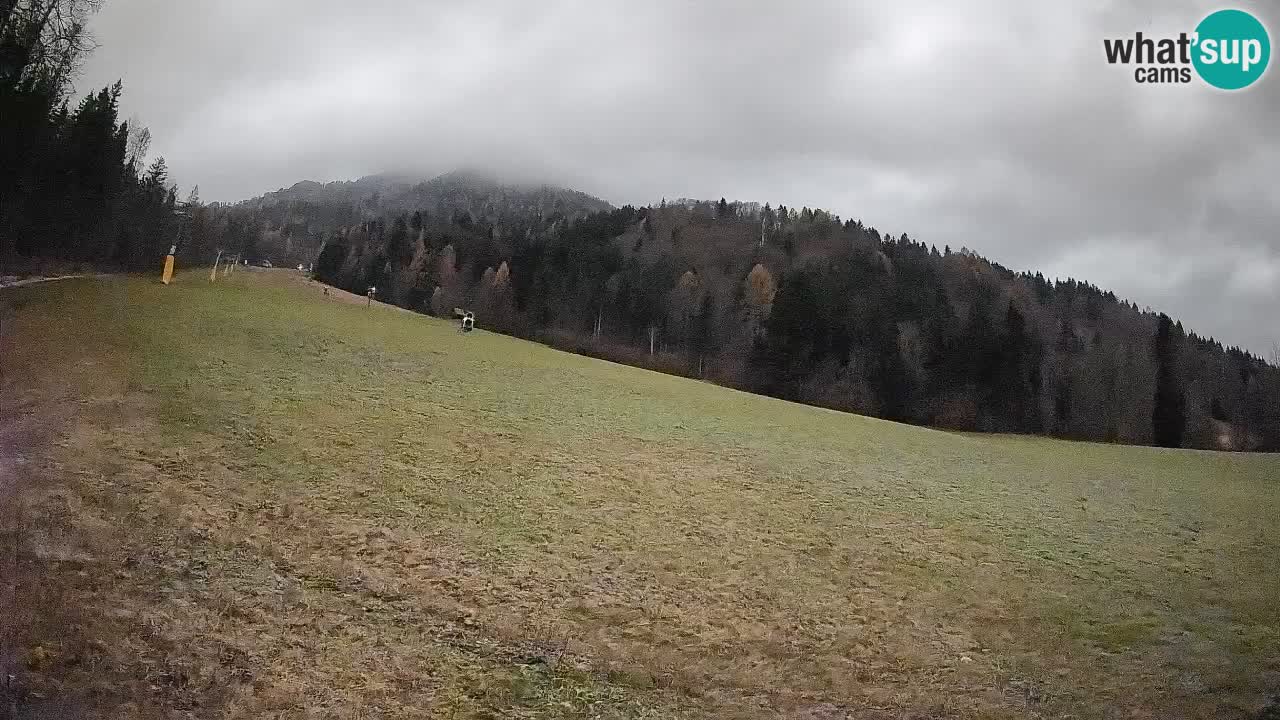 Esquí Kranjska Gora | Brsnina