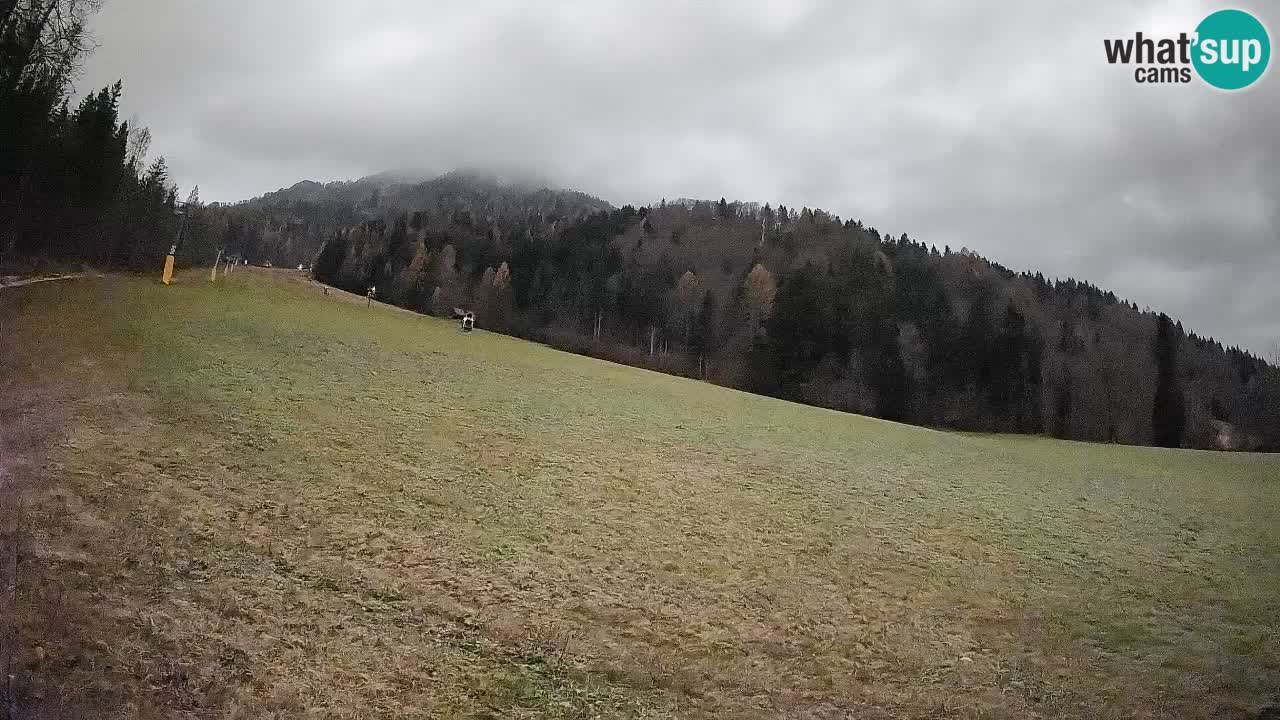 Kranjska Gora Station de ski | Brsnina