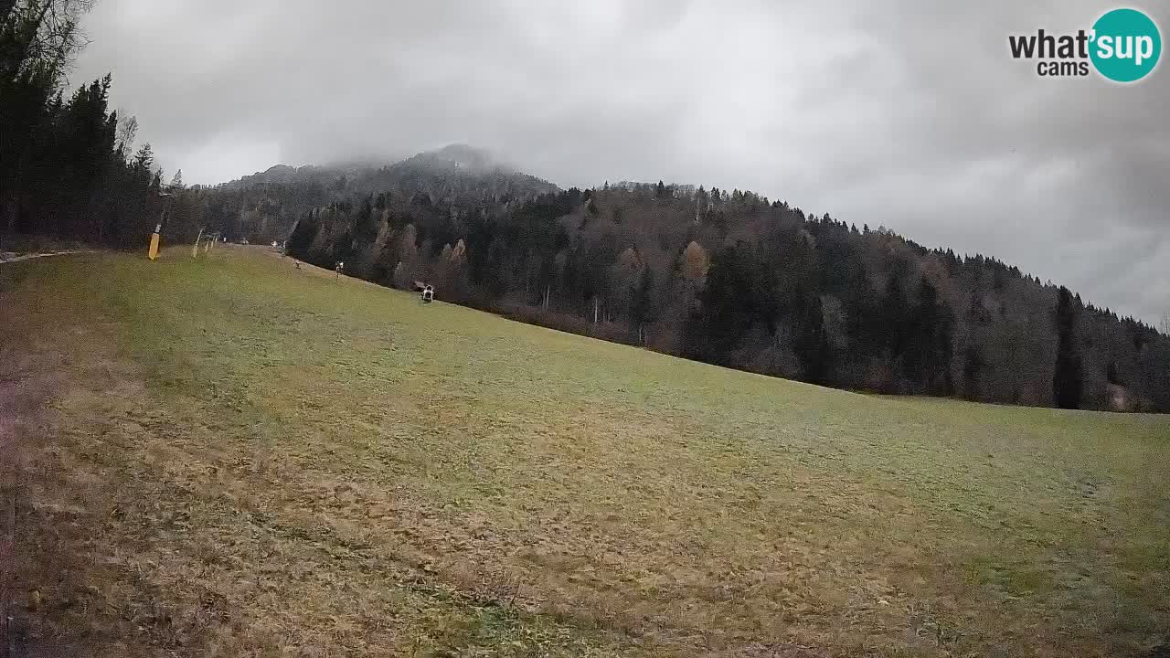Kranjska Gora Station de ski | Brsnina