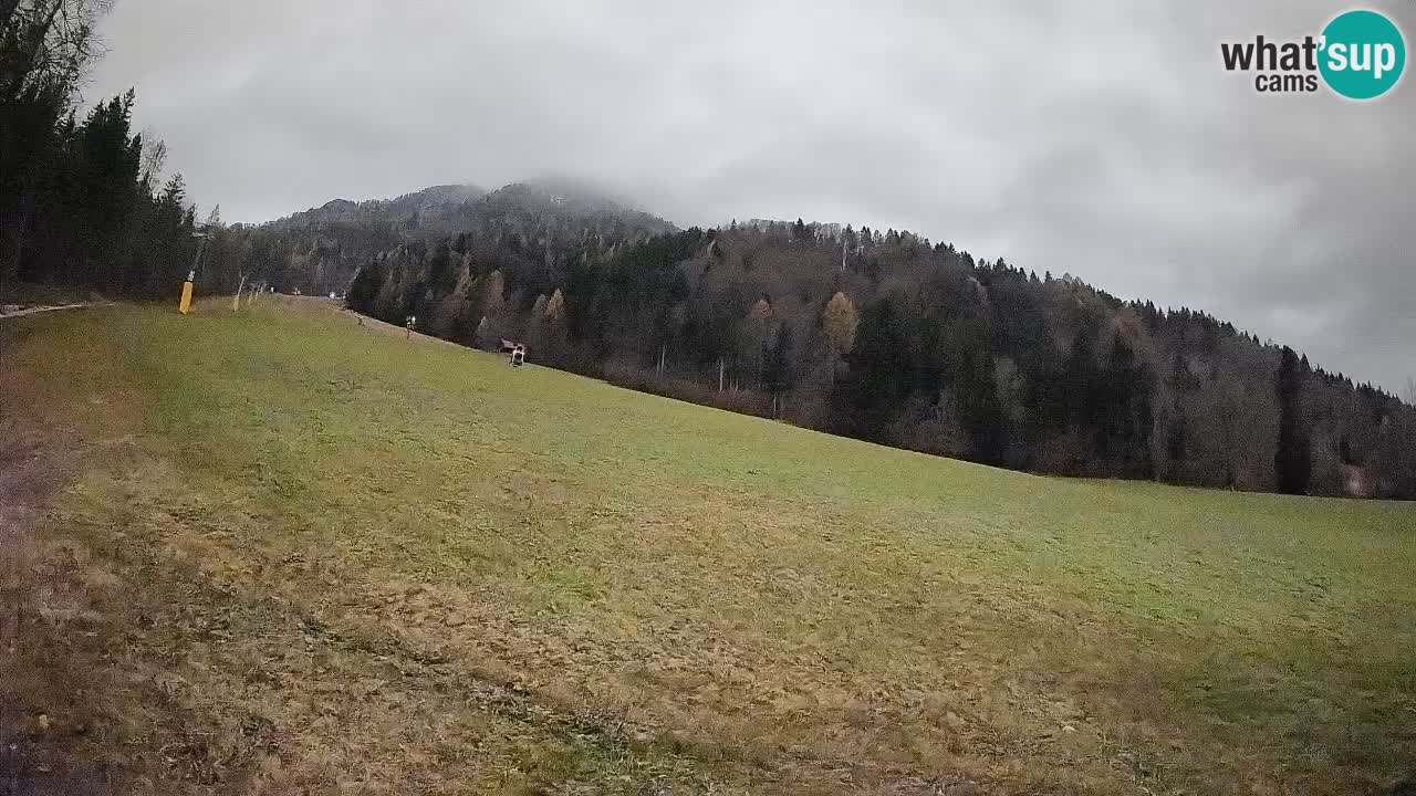 Ski Kranjska Gora | Brsnina