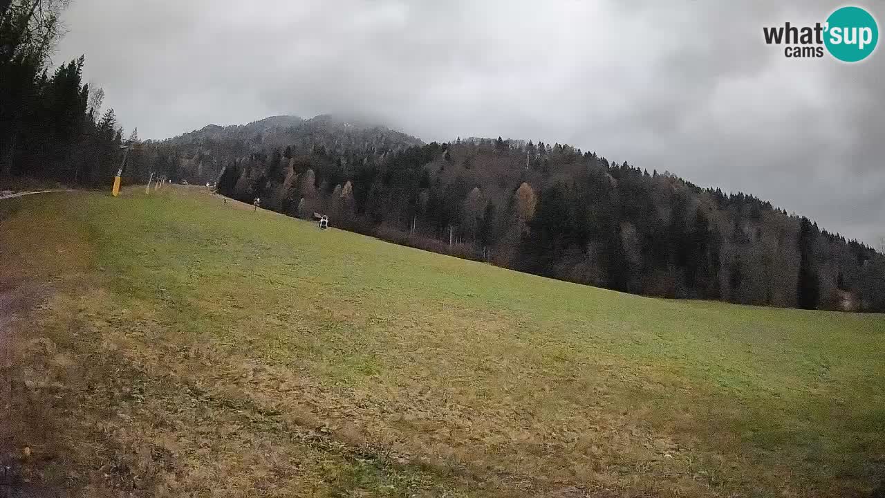 Ski Kranjska Gora | Brsnina